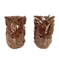 山核桃仁500g新貨原味山核桃仁250克批發(fā)罐裝小包裝干果零食特產(chǎn)