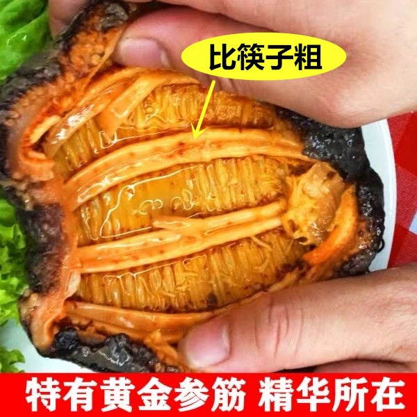 O1CN01xsrKcK1cwcbjzxCZN_!!2212478853665-0-cib (2)