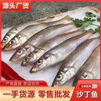 新鮮沙丁魚批發當天深海捕撈冷凍沙尖魚魚干海鮮水產酒店餐飲供應