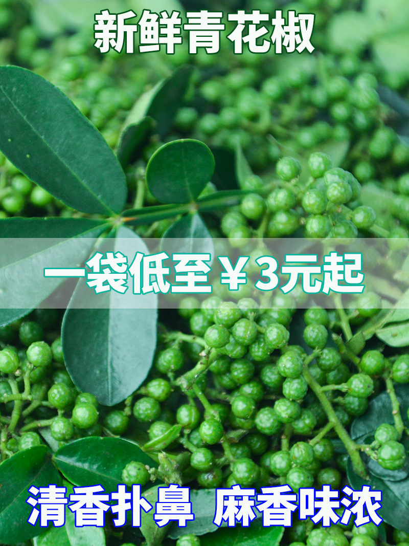 O1CN01bTnVnf2B00MnE9gKH_!!935798275-0-cib