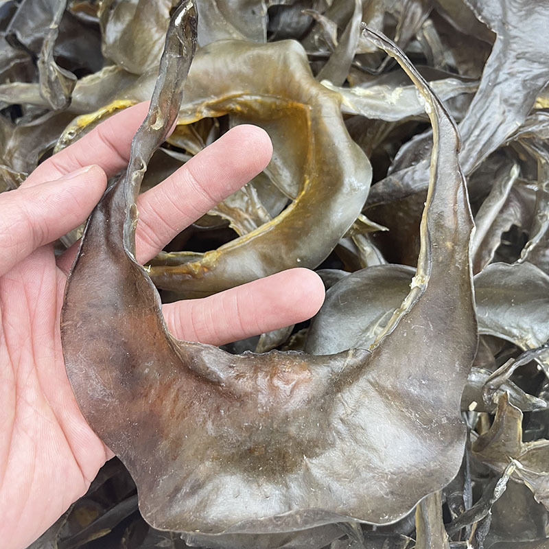 O1CN01DbJqXm1exeWlltRVs_!!2215177883938-0-cib