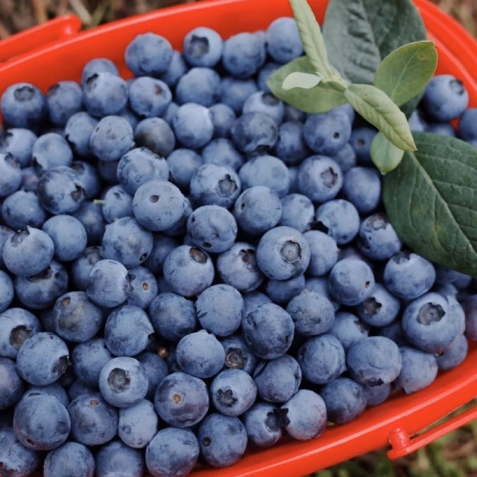 O1CN019FNpct1mlJ3k4m5yn_!!2201228224994-0-cib