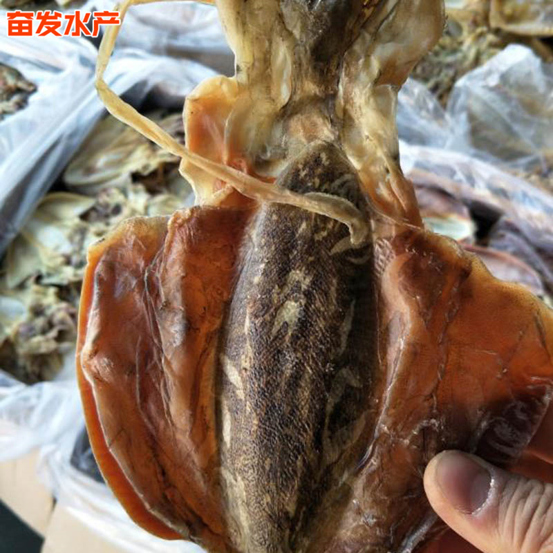 10651157104_1701077185