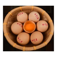 廣西雞蛋農(nóng)場直發(fā)鮮雞蛋整箱批發(fā)一件代發(fā)生鮮20枚裝生鮮農(nóng)產(chǎn)品