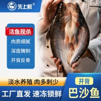 國產(chǎn)湄公魚腌制巴沙魚凌波魚烤魚半成品整箱批發(fā)新鮮冷凍半成品