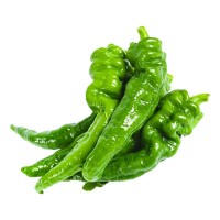 香辣螺絲椒種子高產(chǎn)大果青辣椒種籽春四季陽臺盆栽蔬菜種孑苗大全