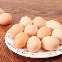 土雞蛋一件代發(fā)50枚起發(fā)農(nóng)村散養(yǎng)批發(fā)山雞野雞草雞蛋供應(yīng)鮮雞蛋