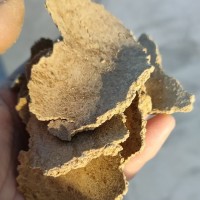 二級菜籽餅有機肥料 批發(fā)胡麻餅花生麩餅種植蔬菜水果有機肥肥用