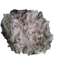 批發(fā)海蜇絲珊瑚絲涼拌菜5斤桶裝包郵非即食海蜇整桶批發(fā)海鮮
