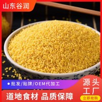 熟小米5斤裝香糯小米五谷雜糧粥粗糧小米現(xiàn)貨五谷雜糧廠家批發(fā)