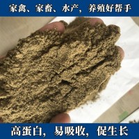 魚 高蛋白60個 補充機體蛋白 已熟化直接添加使用 脫脂魚粉