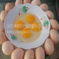 西安土雞蛋供應(yīng) 10斤