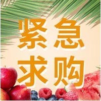 采購品種：西紅柿